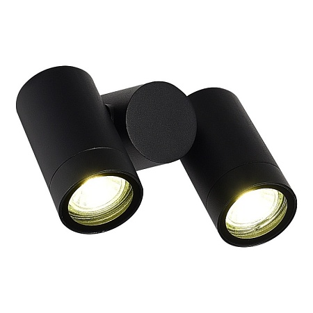 Светильник уличный потолочный ST-Luce черный/белый GU10 2*50W SL9011.402.02 - фото