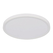 10227/40 White Потолочный светильник LOFT IT Extraslim