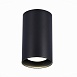 Светильник потолочный Черный LED 1*20W 4000K 1 600Lm Ra>90 60° IP44 D95xH150 220-265V ST157.442.20 - фото