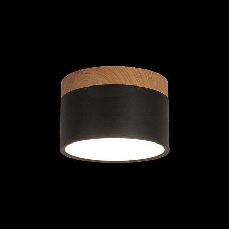 10162 Black Накладной светильник LOFT IT Grape - фото