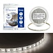Светодиодная LED лента Feron LS607, 60SMD(5050)/m 14.4W/m 12V 5m 4000К - фото
