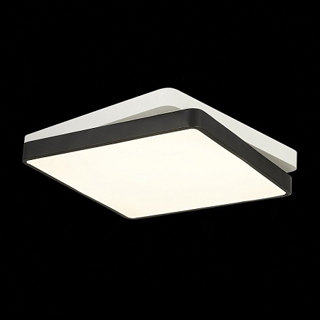 Светильник потолочный Черный, Белый/Белый LED 1*45W 3000K/4000K/6000K SLE200712-01 - фото