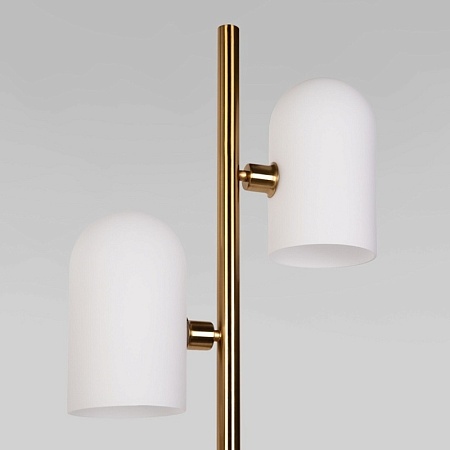 Напольный светильник Eurosvet 01164/2 - фото