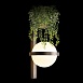 10121W/B Dark grey Настенный светильник LOFT IT Jardin - фото