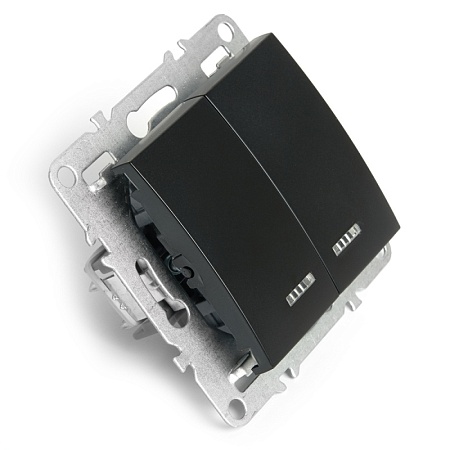 Выключатель 2-клавишный с индикатором (механизм), STEKKER, PSW10-9102-03, 250В, 10А, серия Эрна, черный - фото