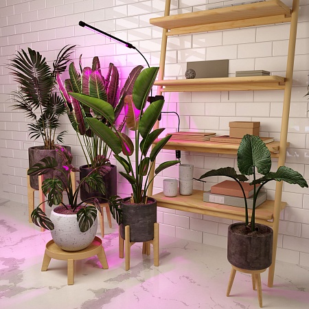 Светильник для растений на прищепке 8 Вт FT-004 чёрный Elektrostandard - фото