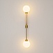 Настенный светильник (бра) Maytoni TEATRO MOD287WL-02BS - фото