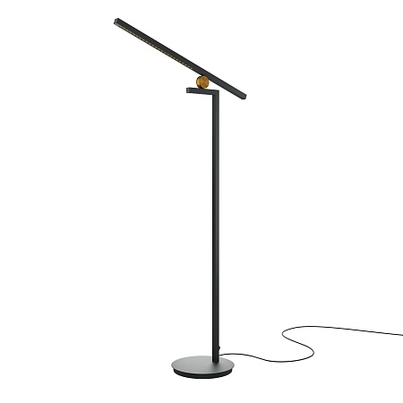 Напольный светильник (торшер) Maytoni Empathy MOD363FL-L14B3K - фото