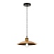 Светильник подвесной ST-Luce Черный/Золотистый E27 1*60W SL1017.203.01 - фото