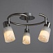 Спот Arte Lamp CAVALLETTA A4510PL-3SS - фото