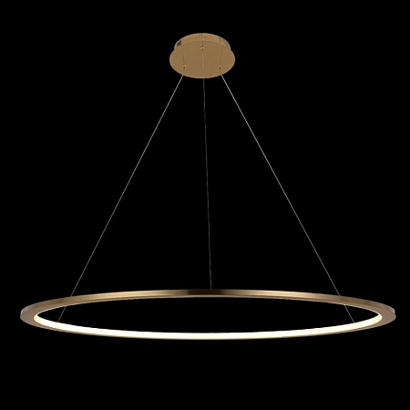 10014L Подвесной светильник LOFT IT Ring - фото