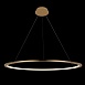 10014L Подвесной светильник LOFT IT Ring - фото