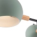 Потолочный светильник Freya Trisha FR5032CL-03B - фото
