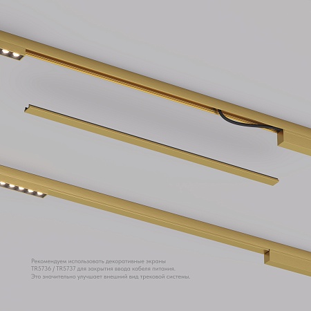 TR5737-SB Декоративная заглушка желоба трека, 50см, для трека Shine, серия Base, сатинированная латунь, алюминий - фото