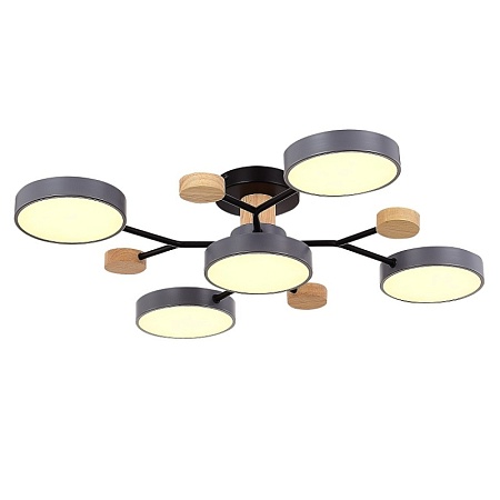 Светильник потолочный Серый/Серый LED 5*12W 3000K/4500K/6000K SLE6006-702-05 - фото