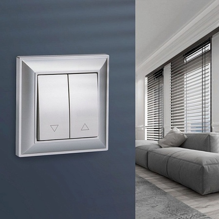 Выключатель жалюзи (серебряный) W1124506 - фото