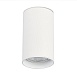 Светильник потолочный Белый LED 1*20W 4000K 1 600Lm Ra>90 60° IP44 D95xH150 220-265V ST157.542.20 - фото
