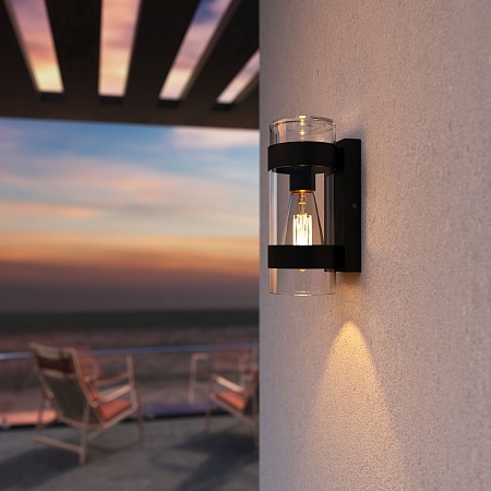 Уличный настенный светильник Falcon 35167/D черный Elektrostandard - фото