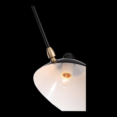 Люстра потолочная ST-Luce Черный/Черный, Белый E27 6*60W SL305.402.06 - фото
