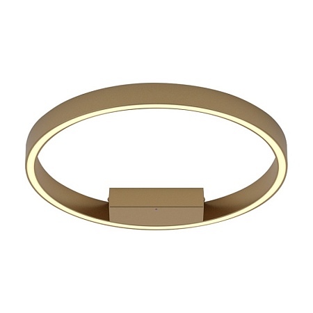 Потолочный светильник Maytoni Rim MOD058CL-L25BS3K - фото