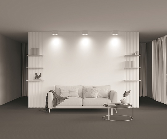 Потолочный светильник Technical Atom C017CL-02W - фото