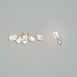 Потолочный светильник Freya Isabella FR5095CL-06G - фото