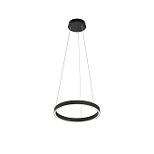 Подвесной светильник Maytoni Rim MOD058PL-L22BK