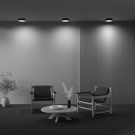 Потолочный светильник Technical Zon C032CL-24W4K-RD-B - фото