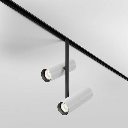 Трековый светильник Technical Elti Duo TR005-2-2X12W4K-BW - фото