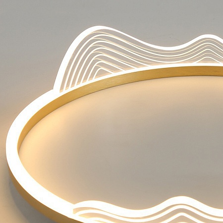 Потолочный Светильник Izelin D50 Black Imperiumloft 223813-23 - фото