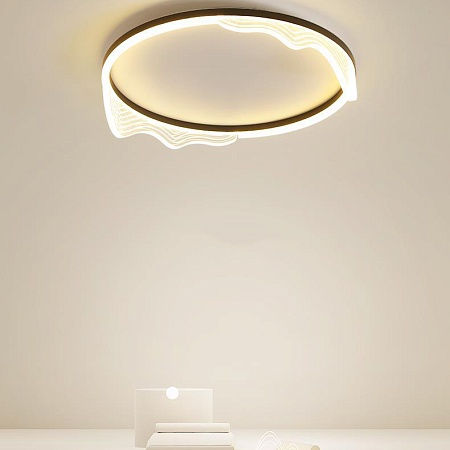 Потолочный Светильник Izelin D50 Black Imperiumloft 223813-23 - фото