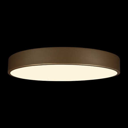 10228/A Потолочный светильник LOFT IT Flims - фото