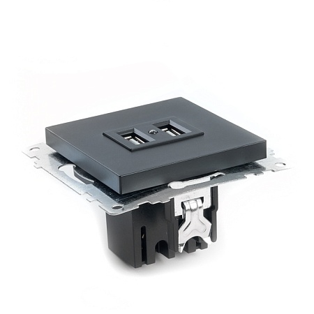 Розетка USB 2-местная (механизм), STEKKER GLS10-7115-05, 250B, 2,1А, серия Катрин, черный - фото
