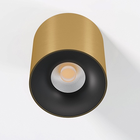 Светильник потолочный светодиодный Primo 12W 3000K латунь 25116/LED Elektrostandard - фото