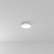 Потолочный светильник Arte Lamp FADO A6620PL-1WH - фото