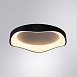 Потолочный светильник Arte Lamp ANKAA A3085PL-56BK - фото