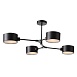 Светильник потолочный Черный/Черный E14 4*60W SLE183402-04 - фото