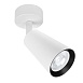 Спот Arte Lamp CINTURA A2352PL-1WH - фото