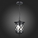 Светильник уличный подвесной ST-Luce Черный/Черный, Прозрачный E27 1*60W SL085.403.01 - фото