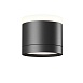 Потолочный светильник Technical C120CL-GX53-B - фото