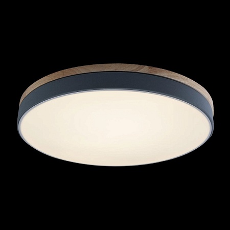 10001/36 Grey Потолочный светильник LOFT IT Axel - фото