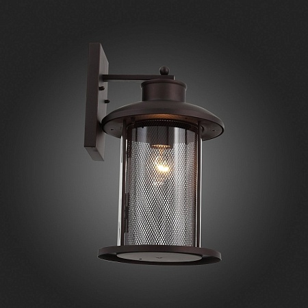 Светильник уличный настенный ST-Luce Темный кофе/Прозрачный, Темный кофе E27 1*60W SL080.401.01 - фото