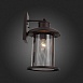 Светильник уличный настенный ST-Luce Темный кофе/Прозрачный, Темный кофе E27 1*60W SL080.401.01 - фото