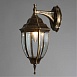 Уличный настенный светильник Arte Lamp PEGASUS A3152AL-1BN - фото