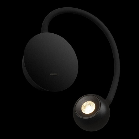 10254 Black Настенный светильник LOFT IT Point - фото