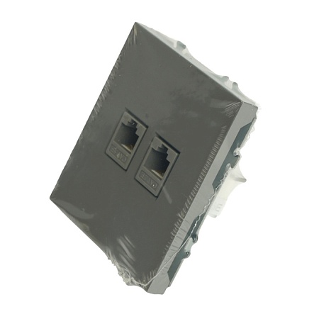 Розетка компьютерная 2-местная RJ-45 (механизм), STEKKER, серия Эмили, RST00-5111-10, платиново-серый, soft touch - фото