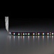 Светодиодная лента 24 В 14,4 Вт/м 60 Led/м 5050 IP20, RGB, Black, 5 м Лента светодиодная 24V 14,4W 60Led 5050 IP20 RGB, Black, 5м Elektrostandard - фото