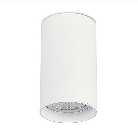 Светильник потолочный Белый LED 1*20W 4000K 1 600Lm Ra>90 60° IP44 D95xH150 220-265V ST157.542.20 - фото