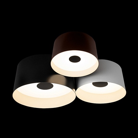 10360/3 Потолочный светильник LOFT IT Duo - фото