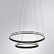 Подвесная люстра Arte Lamp MERIDIANA A2198SP-2BK - фото